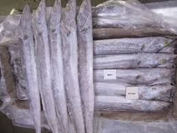 Frozen Ribbon Fish